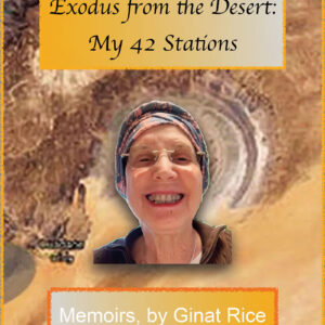 Exodus from the Desert: My 42 Stations